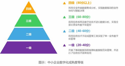 破繭成蝶 2022年中國(guó)中小企業(yè)數(shù)字化轉(zhuǎn)型之路——數(shù)字技術(shù)服務(wù)的關(guān)鍵賦能